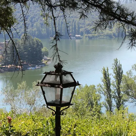 Orio * بيديلوكو